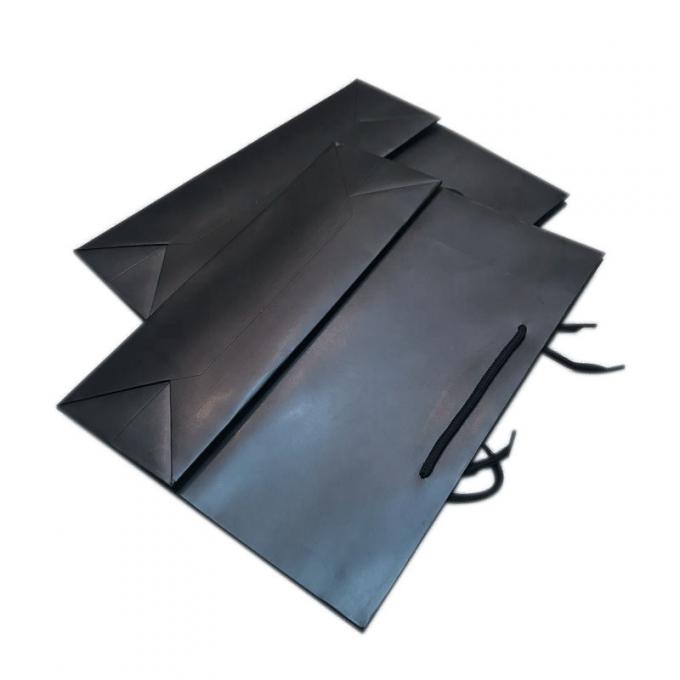 CMYK বুটিক নাইলন পেপার হ্যান্ডেল শপিং ব্যাগ OEM ODM 1